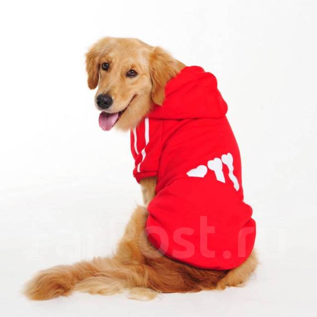 Adidog red hotsell