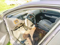 Peugeot 307 ����