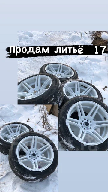 Shogun. x17" ����
