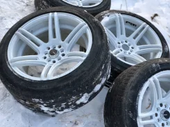 Shogun. x17" ����