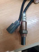 ������ ������ ���� 8946560370 ����