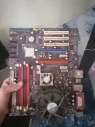 AMD ����