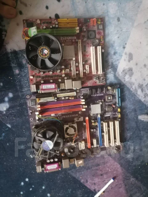 AMD ����