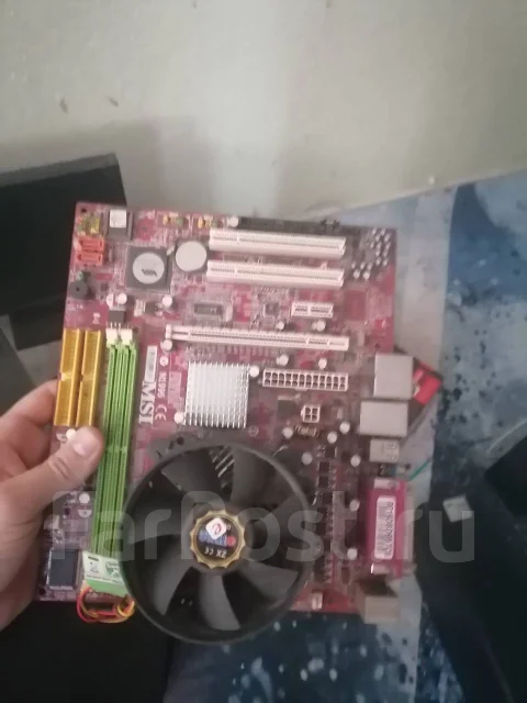 AMD ����