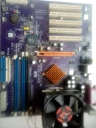 AMD ����