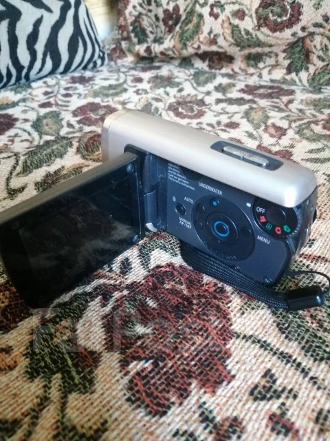 Panasonic SDR-SW20. ��� ��������� ����