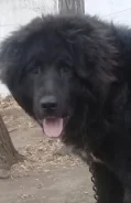 ������. ����