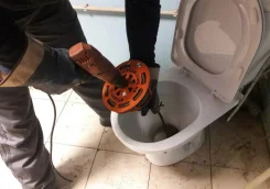 ��������� �����������. ����