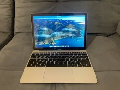 Apple MacBook 12. 12", 1,1����, ��� 8 ��, ���� 256���, WiFi: 1, Bluetooth: 1, ����������� �� 1��. ����