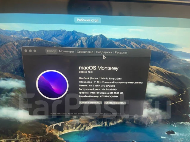 Apple MacBook 12. 12", 1,1����, ��� 8 ��, ���� 256���, WiFi: 1, Bluetooth: 1, ����������� �� 1��. ����
