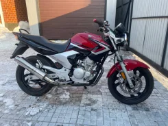 Yamaha YBR 250. 250����. ��., ��������, ���������, ��� ������� ����