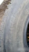 Tigar Ice. ������, ����������, 2019 ���, �/�, ����� �� 5�% ����