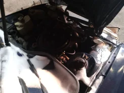 �� 2126 ��� ����