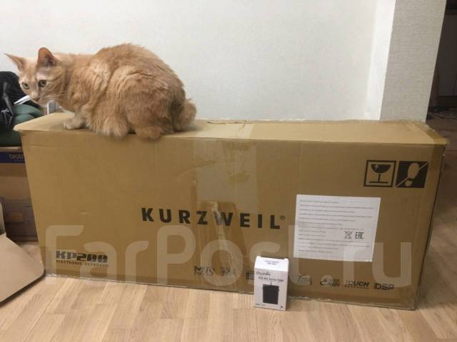 Синтезатор Kurzweil KP200 + подставка + педаль - Клавишные во Владивостоке
