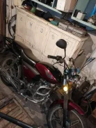 Alpha 110. 110����. ��., ��������, ��� ���, � �������� ����