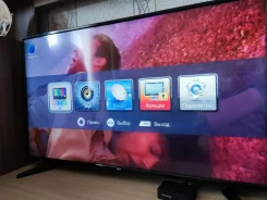 BBK 49LEM-1048/FTS2C. LCD (��) ����
