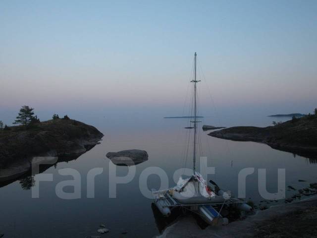 Флокс фрези грант