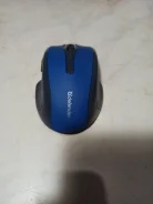 ���� ������������. ����