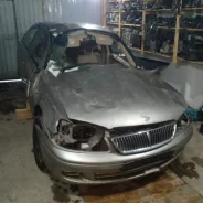 Nissan Bluebird Sylphy ����