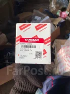 ������ �����������. ����