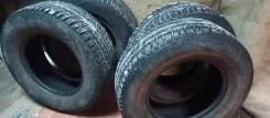 Triangle TR777. ������, ��� �����, �/�, ����� 40 %. ���������� (������) ����