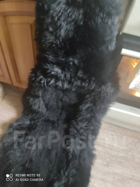 Набор Чехлов на авто, натуральная овчина купить во Владивостоке по цене ...