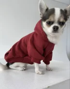 ����. ����
