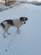 ������. ����