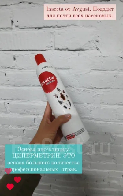 Уничтожение потравить Тараканов, клопов, клещей, блох, крыс без запаха ...