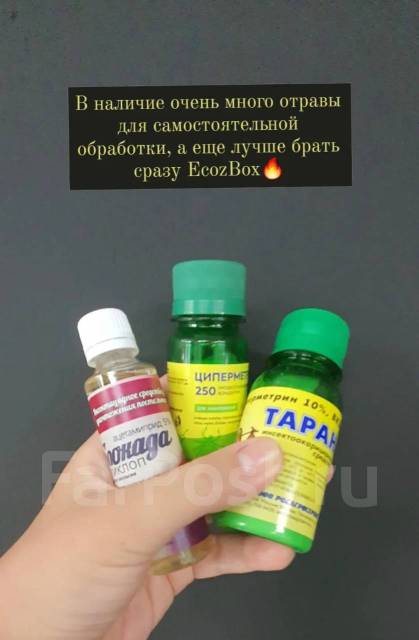 Уничтожение потравить Тараканов, клопов, клещей, блох, крыс без запаха ...