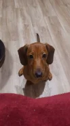 �����. ����