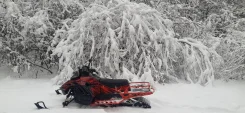 Irbis SF 200L. ��������, ���� ���, � �������� ����