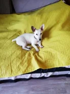 ����-������-������. ����