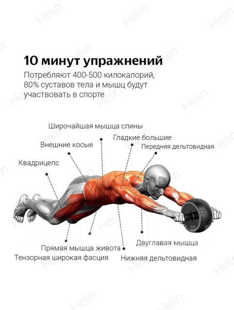 Гимнастические ролики, колеса для пресса Star Fit