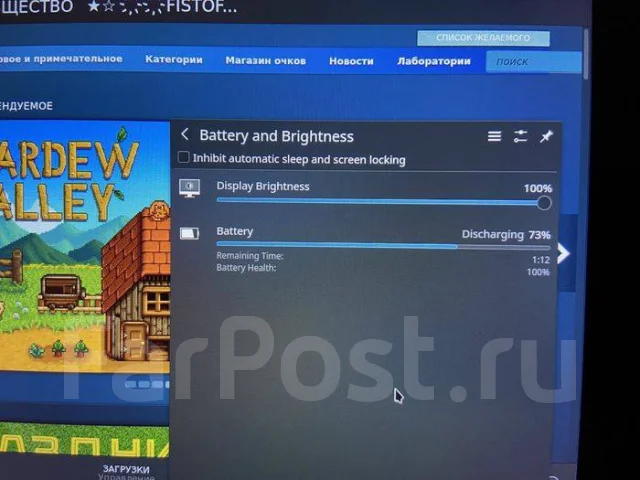Steam Deck ����
