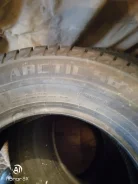 Arctic Claw. ������, ��� �����, 2022 ���, ����� ����