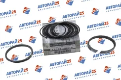 ������ ��������� Nissan QG13DE STD 120334M410 120334M410 ����