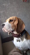 �����. ����
