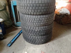 L-Guard. ������, ��� �����, 2019 ���, �/�, ����� 100 % ����