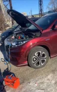�������� �����������. ����