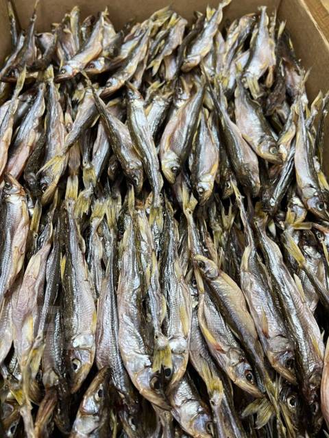 Корюшка вяленая - Рыба и морепродукты в Хабаровске