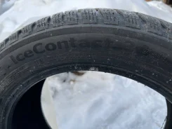 Continental Contact. ������, ����������, �/�, ����� 70 % ����