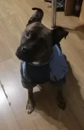 ������. ����