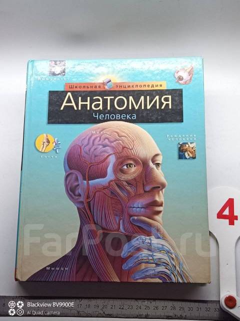 * Анатомия человека Серия: Школьная энциклопедия изд-во Русич 2000 год ...