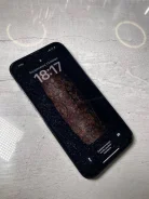 Apple iPhone 13 Pro Max. �����, 256 ��, �����, ������, 3G, 4G LTE ����