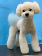 ���������� ������. ����