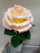 ����. ����