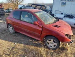 Peugeot 206 ����