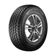 Austone Athena SP-306