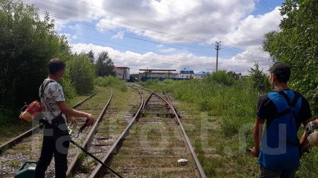 Покос травы, спил деревьев, вывоз мусора в Хабаровске